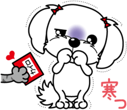 Energetic Maltese dog"Matsuri-chan" sticker #12545349
