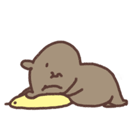 Wombat and chick. sticker #12546340