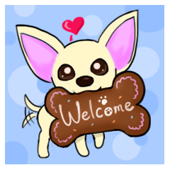 Sweetheart~the Big Ears Chihuahua