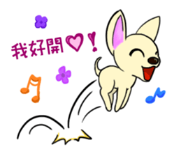 Sweetheart~the Big Ears Chihuahua sticker #12546478