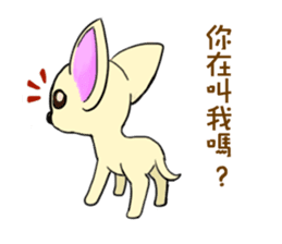 Sweetheart~the Big Ears Chihuahua sticker #12546486