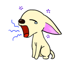 Sweetheart~the Big Ears Chihuahua sticker #12546494