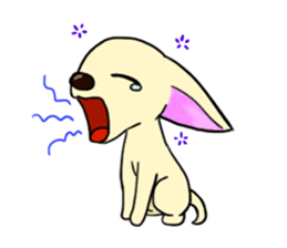 Sweetheart~the Big Ears Chihuahua sticker #12546494