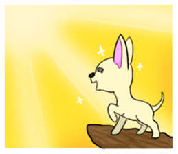 Sweetheart~the Big Ears Chihuahua sticker #12546497