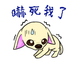 Sweetheart~the Big Ears Chihuahua sticker #12546500