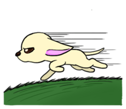 Sweetheart~the Big Ears Chihuahua sticker #12546506