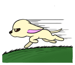 Sweetheart~the Big Ears Chihuahua sticker #12546506