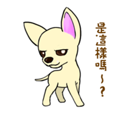 Sweetheart~the Big Ears Chihuahua sticker #12546508