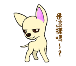 Sweetheart~the Big Ears Chihuahua sticker #12546508