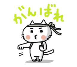 white cat sassy sticker #12546945