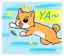 With adorable cats and dogs sticker #12547258