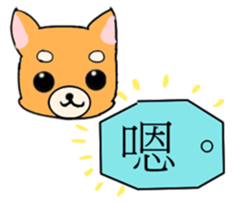With adorable cats and dogs sticker #12547261