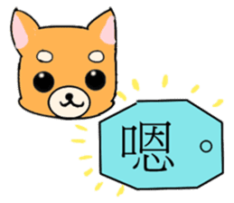 With adorable cats and dogs sticker #12547261