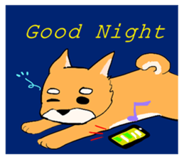 With adorable cats and dogs sticker #12547271