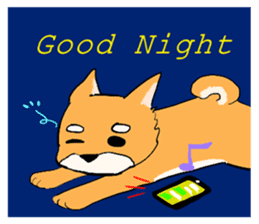 With adorable cats and dogs sticker #12547271