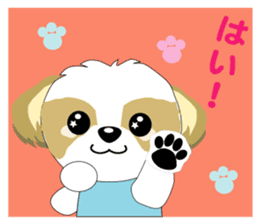 shih tzu daily2 sticker #12547876