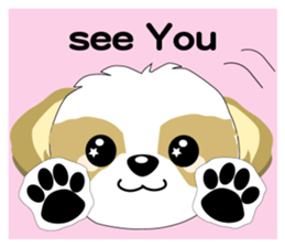 shih tzu daily2 sticker #12547883