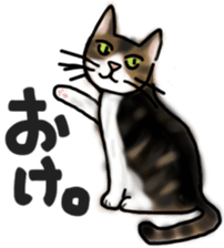 Sticker of a cat with a name as hachi sticker #12547934