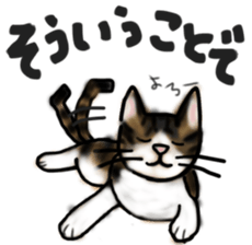 Sticker of a cat with a name as hachi sticker #12547935