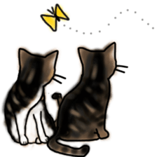 Sticker of a cat with a name as hachi sticker #12547937