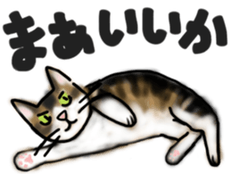 Sticker of a cat with a name as hachi sticker #12547940
