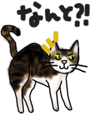 Sticker of a cat with a name as hachi sticker #12547942