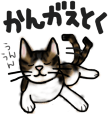 Sticker of a cat with a name as hachi sticker #12547943