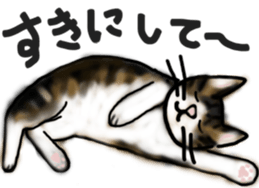 Sticker of a cat with a name as hachi sticker #12547944
