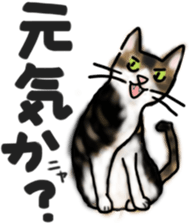 Sticker of a cat with a name as hachi sticker #12547945