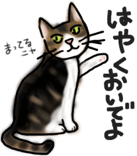 Sticker of a cat with a name as hachi sticker #12547947
