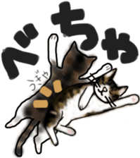 Sticker of a cat with a name as hachi sticker #12547956