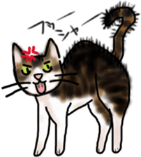 Sticker of a cat with a name as hachi sticker #12547957