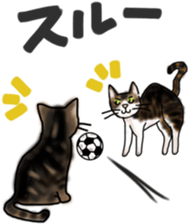 Sticker of a cat with a name as hachi sticker #12547959