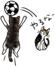 Sticker of a cat with a name as hachi sticker #12547961