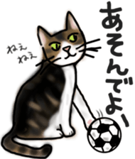 Sticker of a cat with a name as hachi sticker #12547962