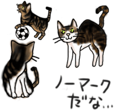 Sticker of a cat with a name as hachi sticker #12547964