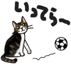 Sticker of a cat with a name as hachi sticker #12547965