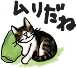 Sticker of a cat with a name as hachi sticker #12547967