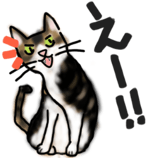 Sticker of a cat with a name as hachi sticker #12547970
