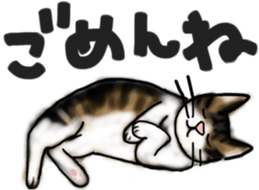 Sticker of a cat with a name as hachi sticker #12547972