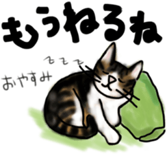 Sticker of a cat with a name as hachi sticker #12547973