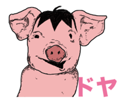The cool pig which moves. sticker #12550192