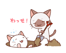Siamese cat animation sticker #12550238