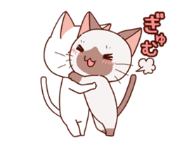 Siamese cat animation sticker #12550244