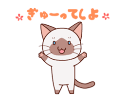 Siamese cat animation sticker #12550256