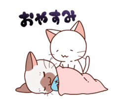 Siamese cat animation sticker #12550259