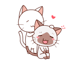 Siamese cat animation sticker #12550261