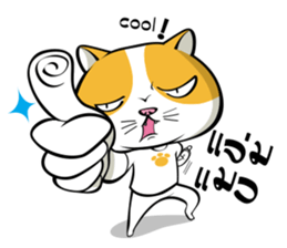 Tong Yong coolcat sticker #12550752