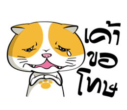 Tong Yong coolcat sticker #12550755