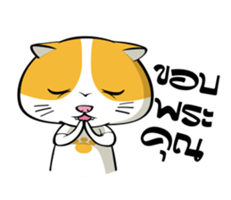 Tong Yong coolcat sticker #12550756